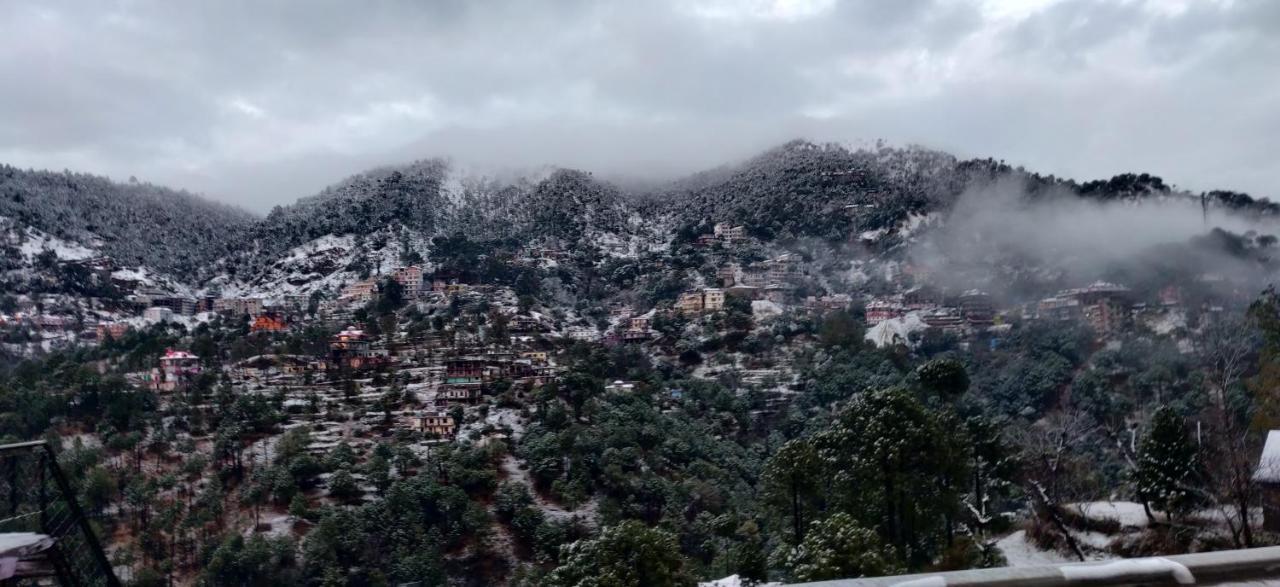 2Bhk Furnished Apartment/Near Kasauli/Barog/Luv Fun & Adventure Szolan Kültér fotó
