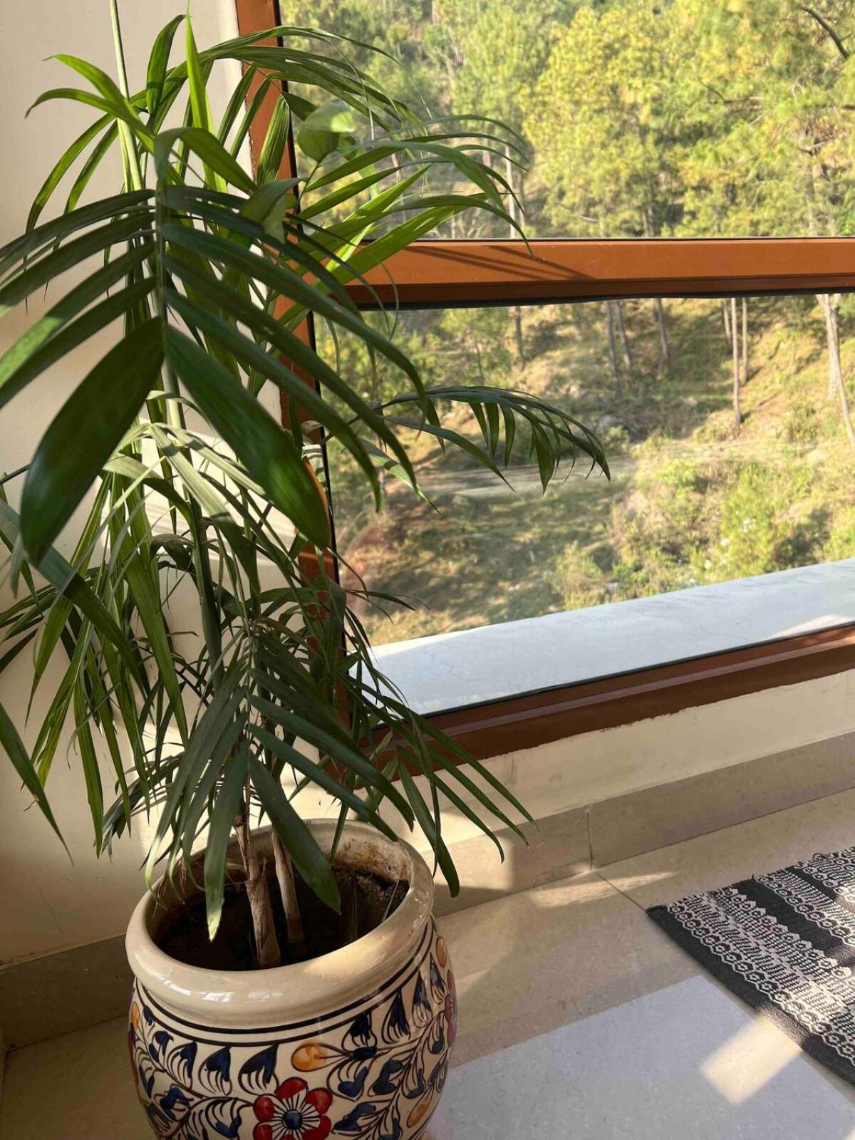 2Bhk Furnished Apartment/Near Kasauli/Barog/Luv Fun & Adventure Szolan Kültér fotó