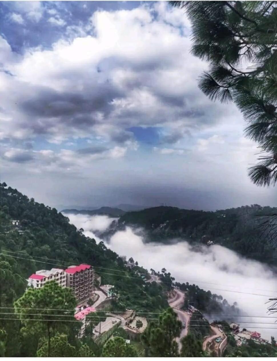 2Bhk Furnished Apartment/Near Kasauli/Barog/Luv Fun & Adventure Szolan Kültér fotó