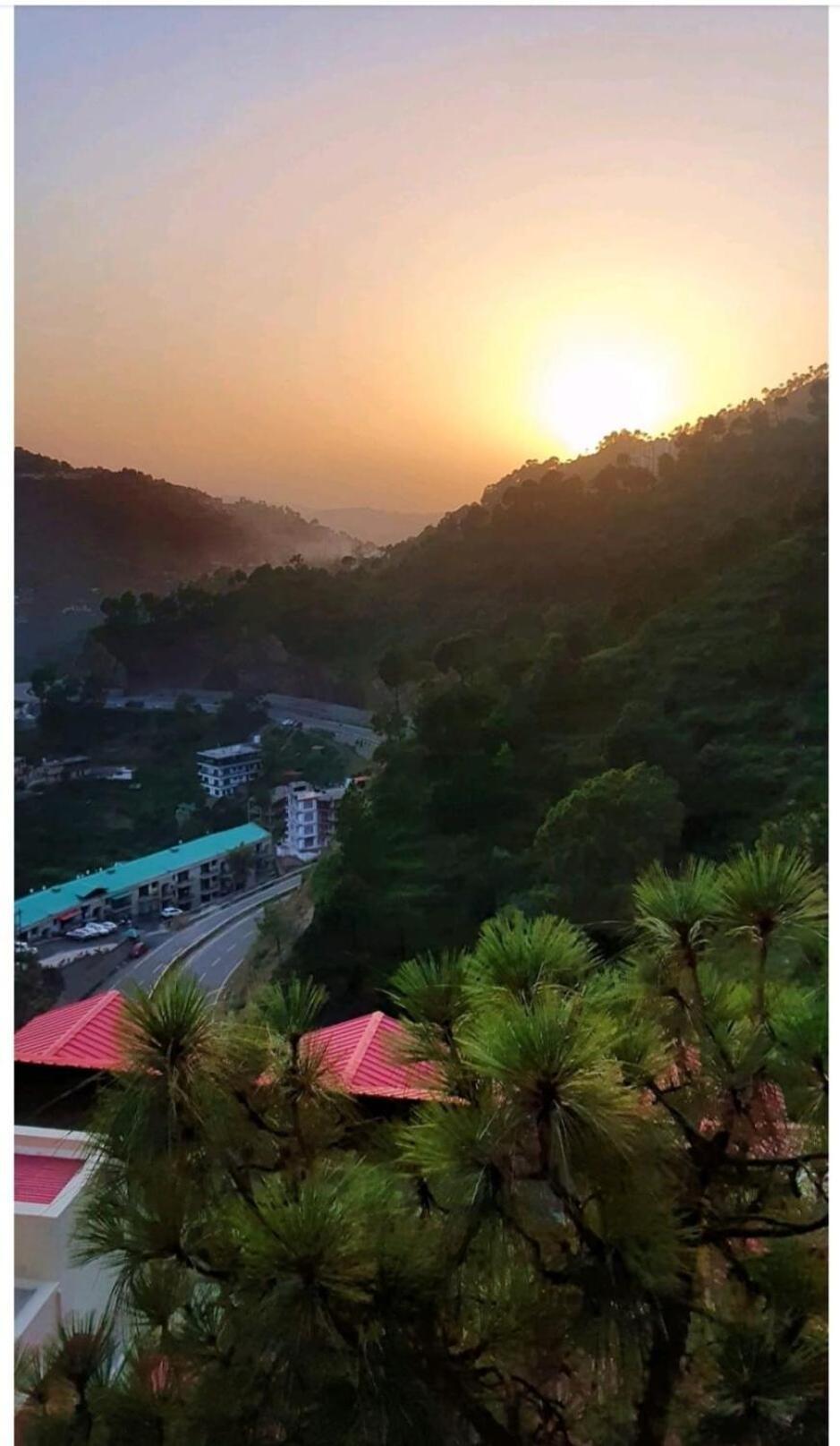 2Bhk Furnished Apartment/Near Kasauli/Barog/Luv Fun & Adventure Szolan Kültér fotó