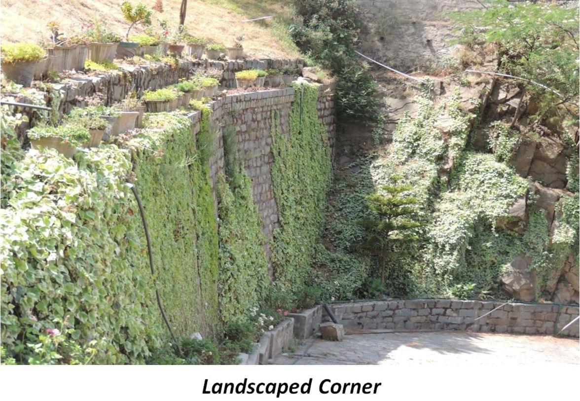 2Bhk Furnished Apartment/Near Kasauli/Barog/Luv Fun & Adventure Szolan Kültér fotó
